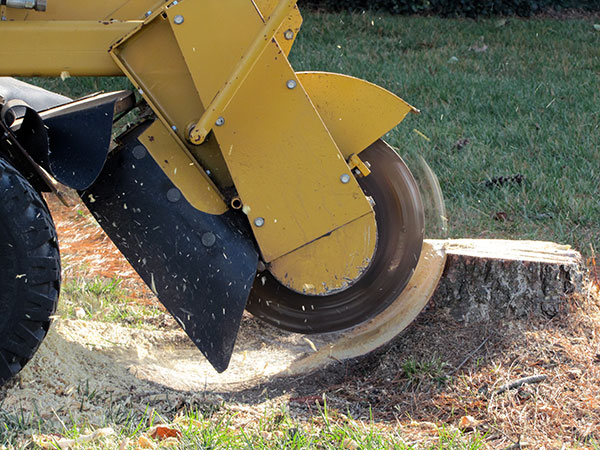 stump-grinding-services
